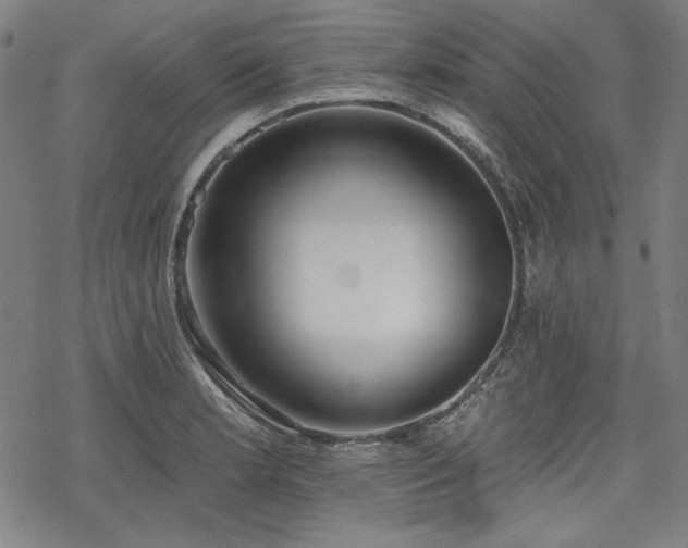 X0000069381181200605121138