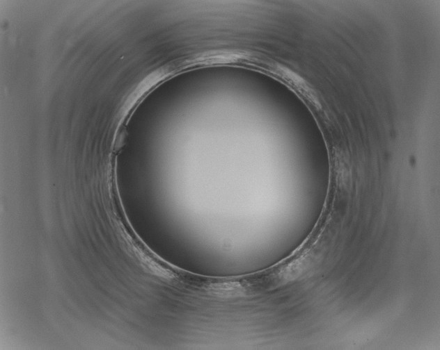 X0000069381186200605121138