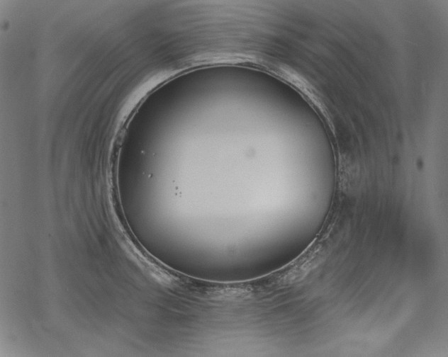 X0000069381187200605121138