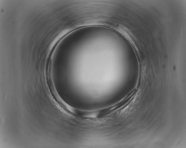 X0000069381197200605121138