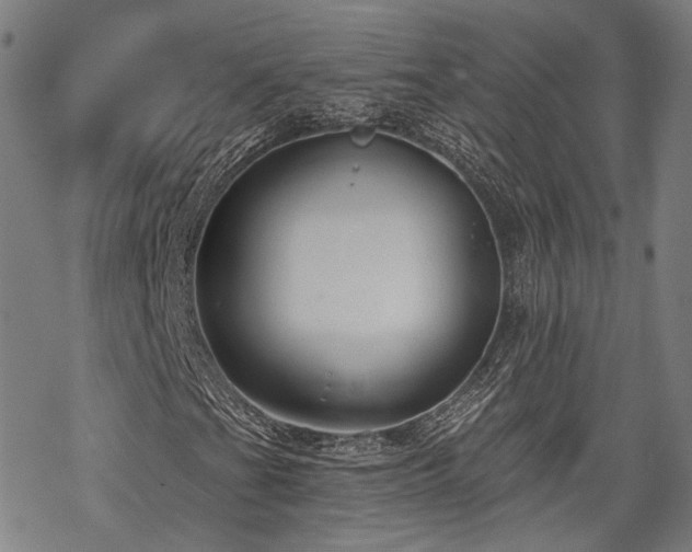 X0000069381201200605121137
