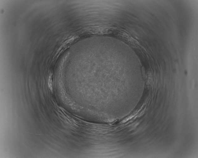 X0000069381202200605121137