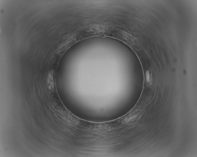 X0000069381203200605121137