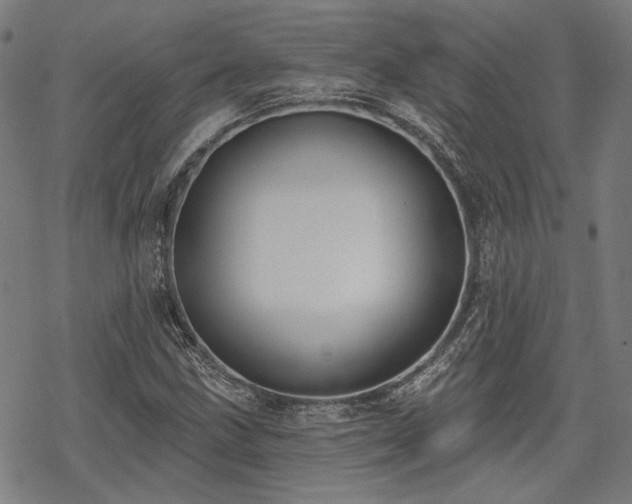 X0000069381211200605121137