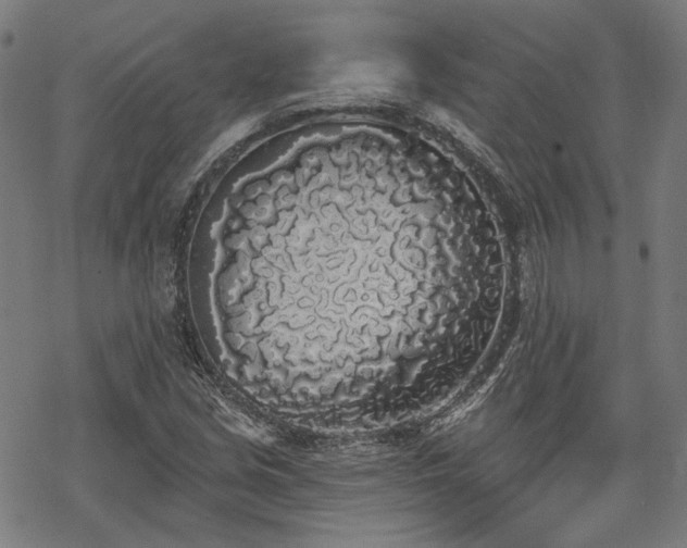 X0000069381213200605121137