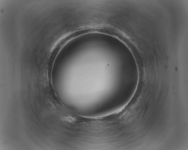 X0000069381214200605121137