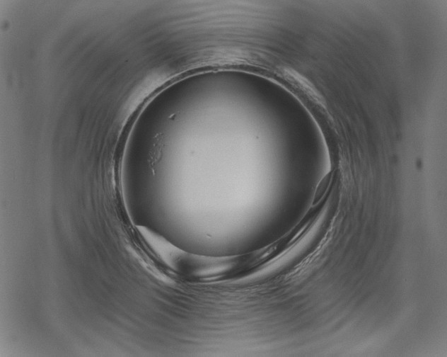 X0000069381226200605121137