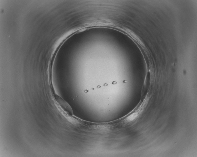 X0000069381246200605121138