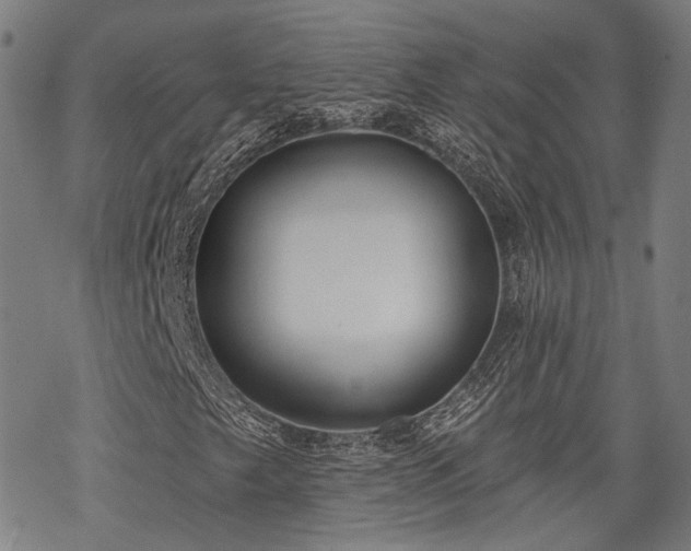 X0000069381249200605121137