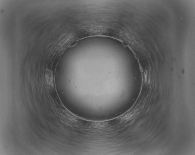 X0000069381251200605121137