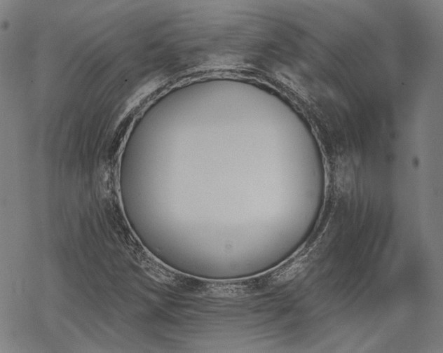 X0000069381258200605121137