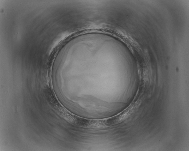 X0000069381262200605121137