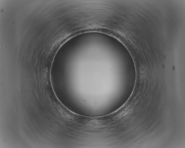 X0000069381265200605121137