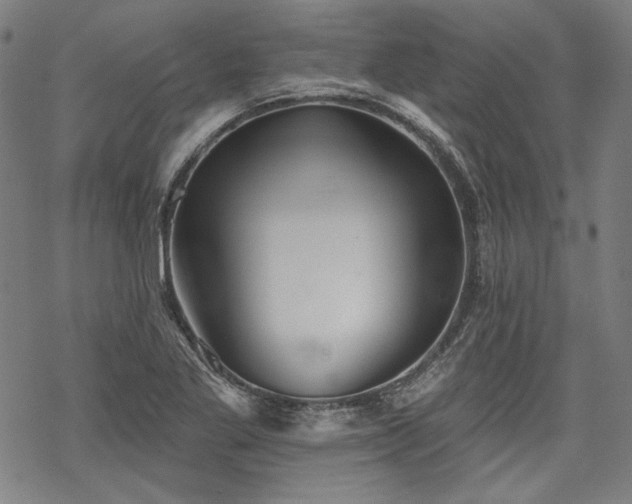 X0000069381269200605121137