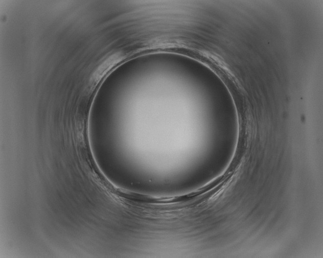 X0000069381273200605121136