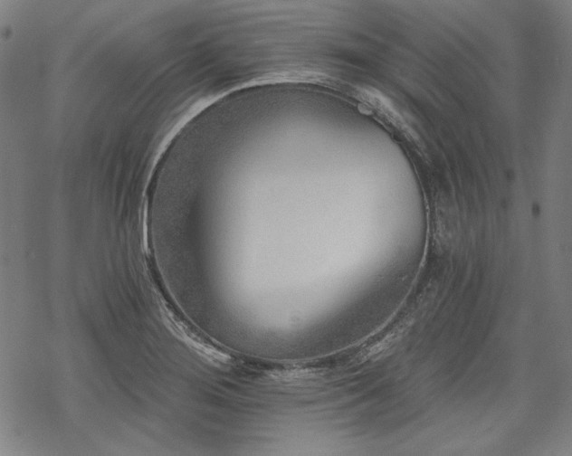 X0000069381276200605121136