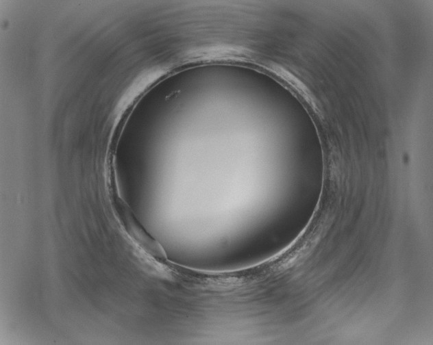 X0000069381285200605121136