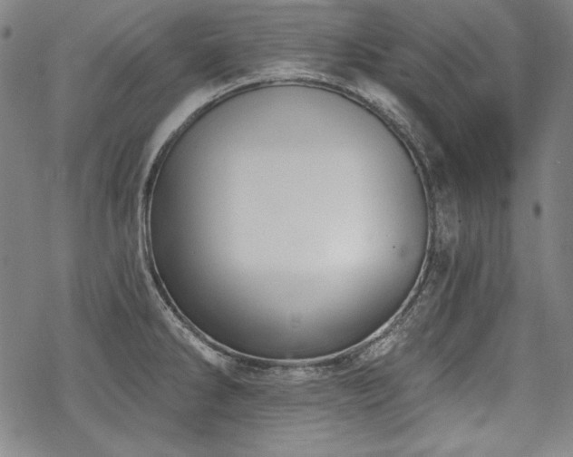 X0000069381286200605121136