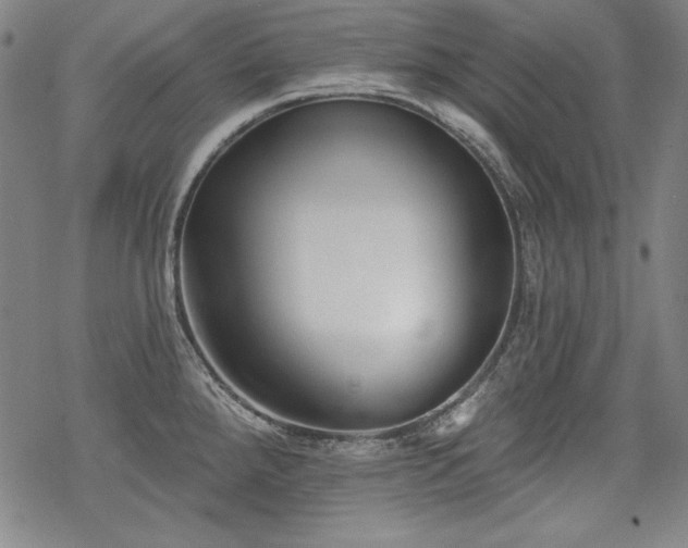 X0000069381288200605121136