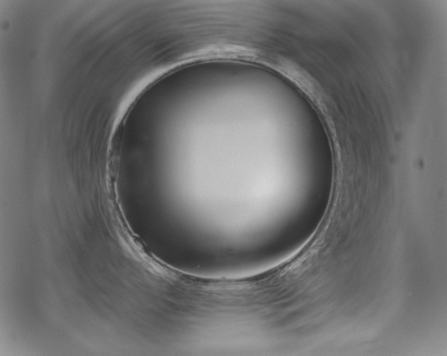 X0000069381296200605121136