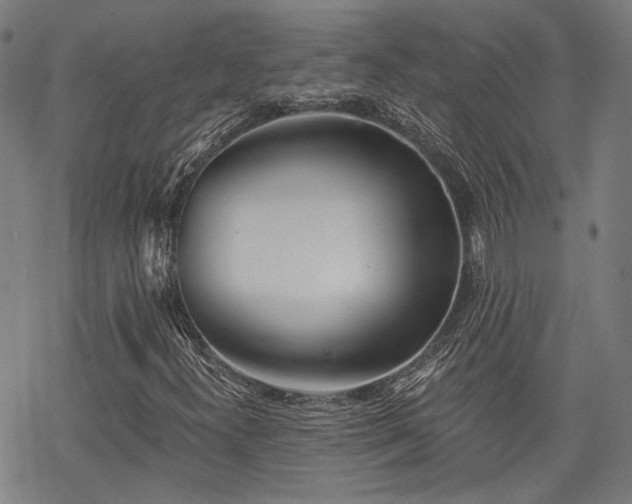 X0000069381300200605121135