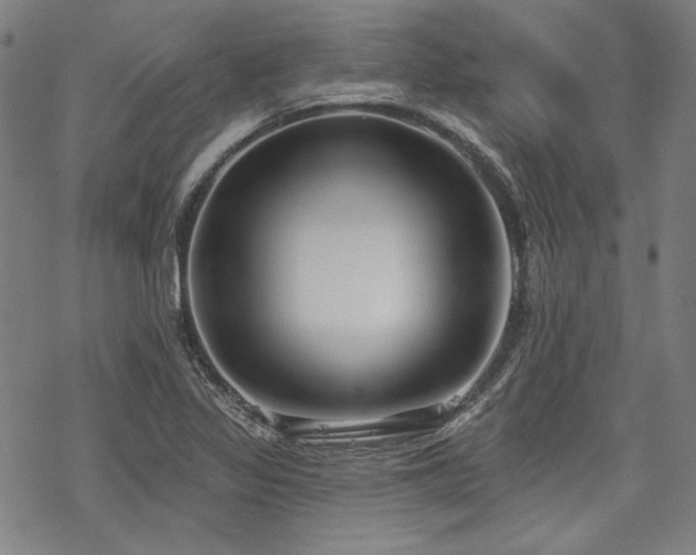 X0000069381317200605121136