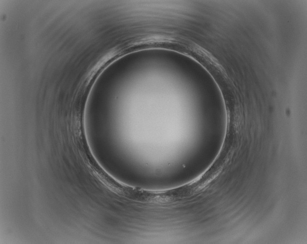 X0000069381321200605121136