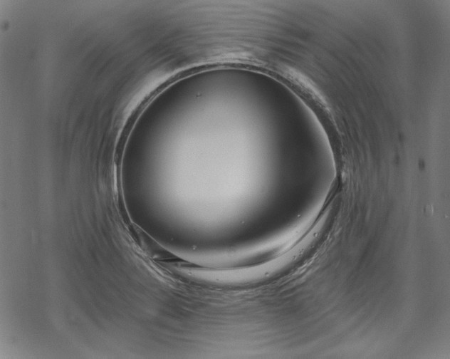 X0000069381324200605121136