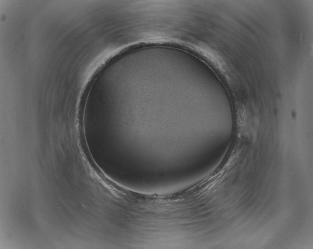 X0000069381327200605121136
