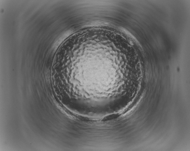 X0000069381329200605121136