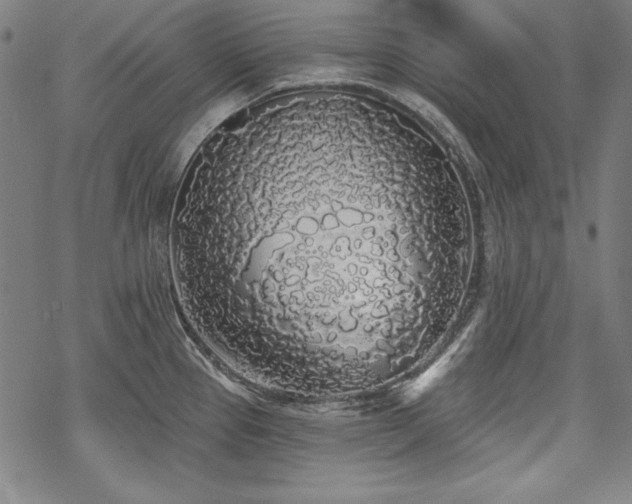 X0000069381337200605121136