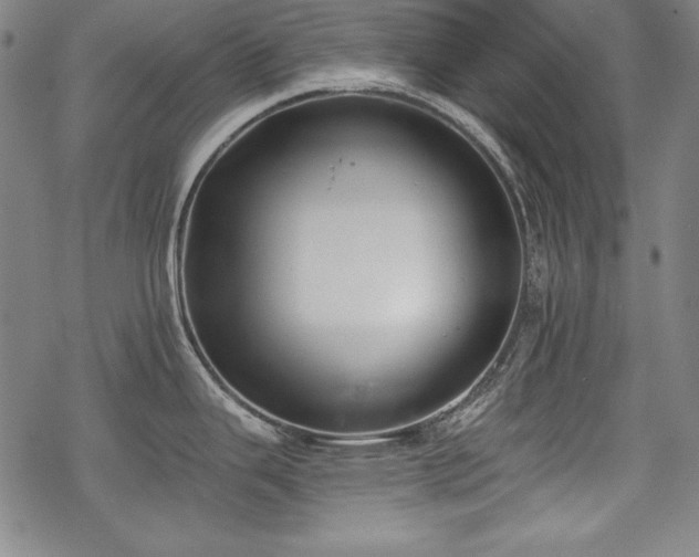 X0000069381343200605121136