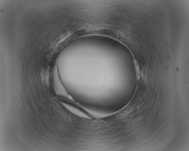 X0000069381348200605121135