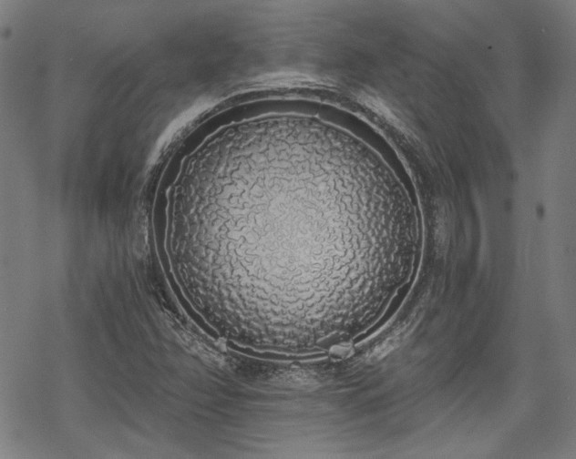 X0000069381358200605121135