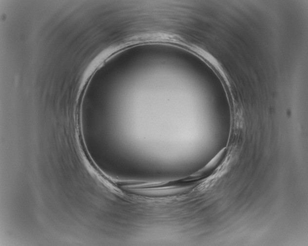 X0000069381389200605121134