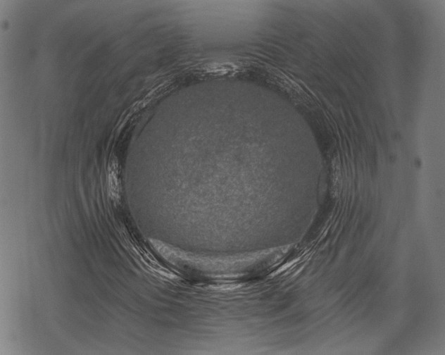 X0000069381394200605121134