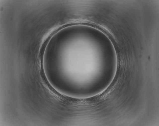 X0000069381414200605121134