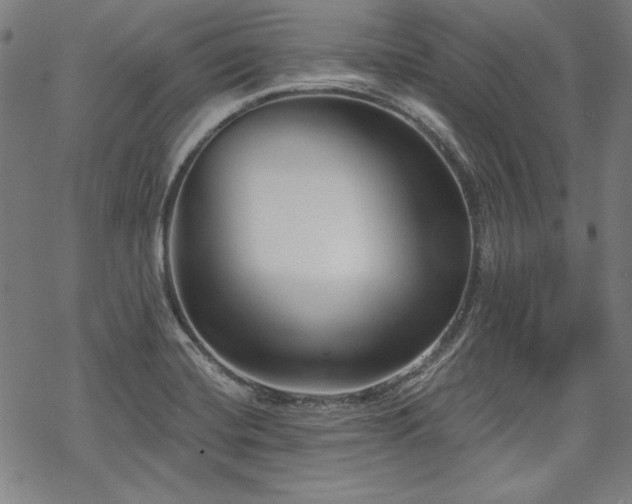 X0000069381420200605121134