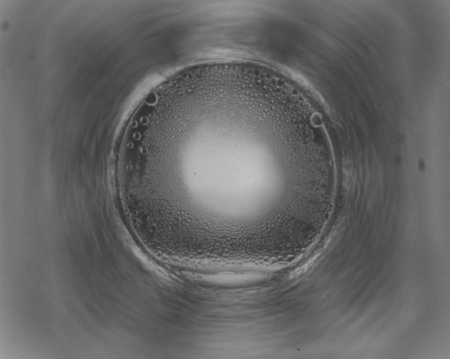 X0000069381421200605121134