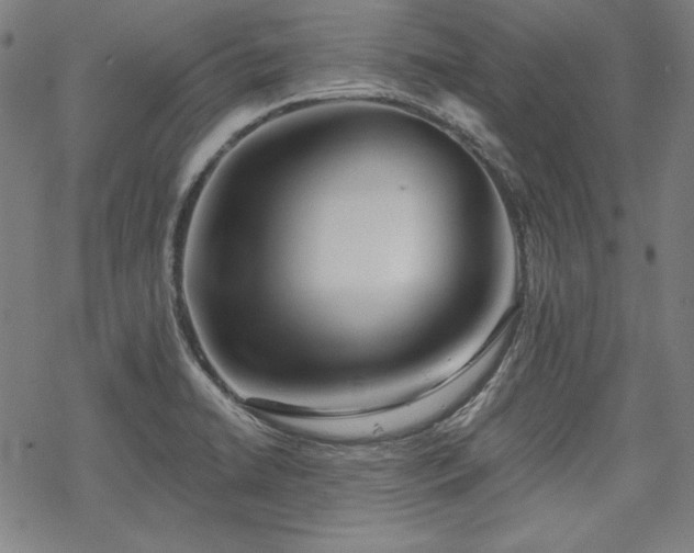 X0000069381422200605121134