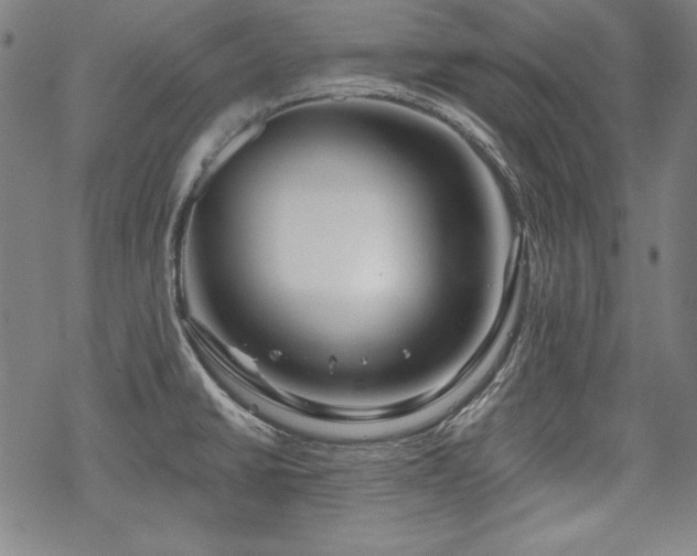 X0000069381430200605121134