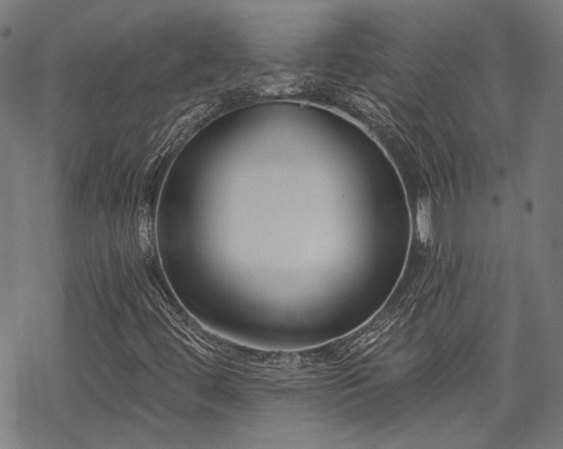 X0000069381444200605121134