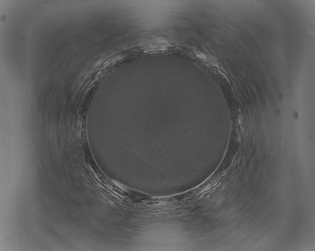 X0000069381445200605121134