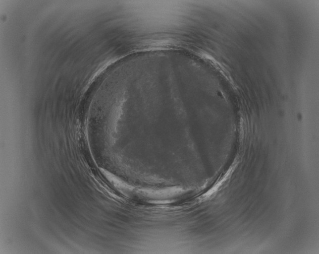 X0000069381449200605121133