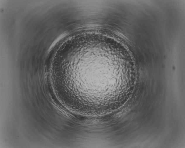 X0000069381450200605121133