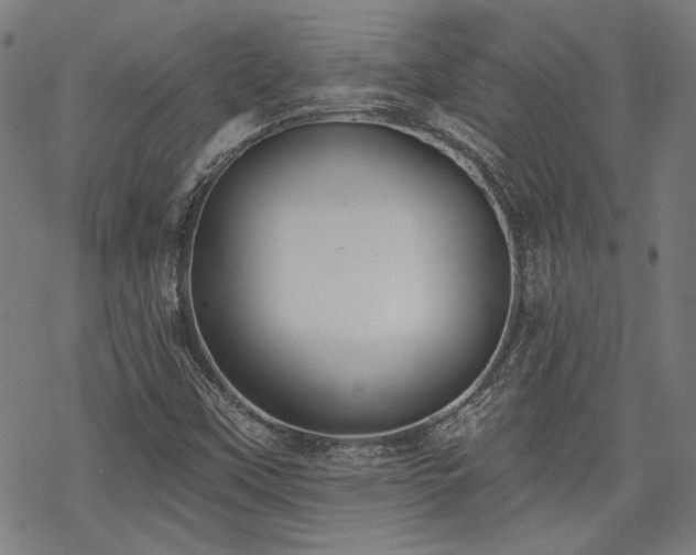 X0000069381451200605121133
