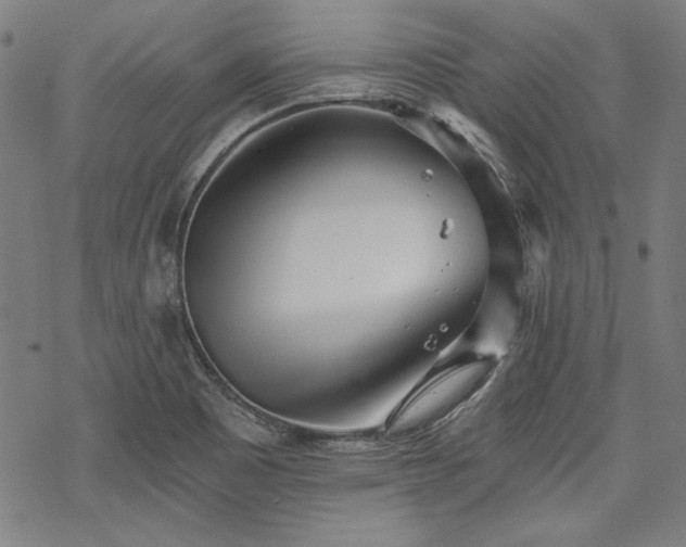 X0000069381465200605121133