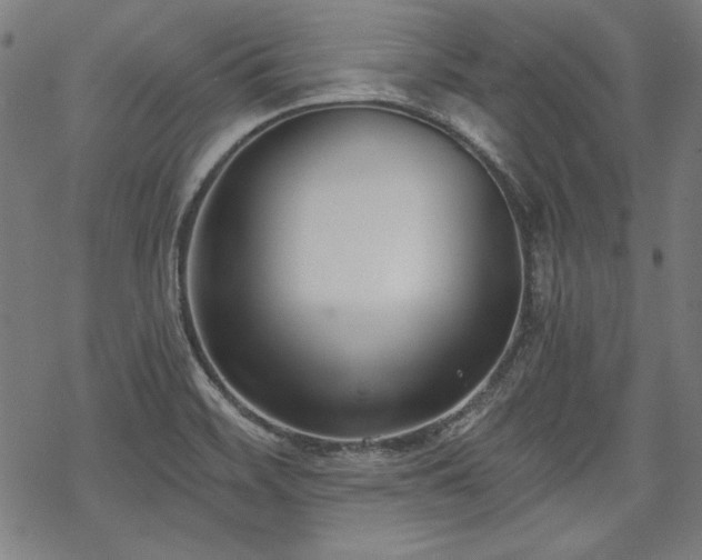 X0000069381468200605121133