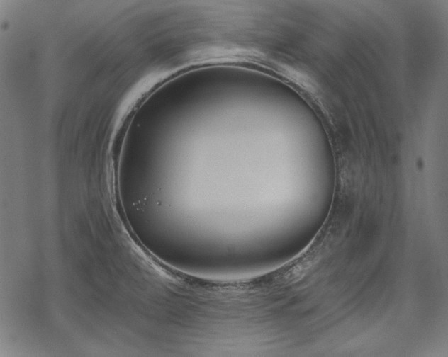 X0000069381472200605121133