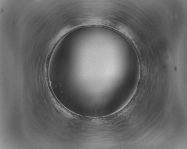 X0000069381480200605121133